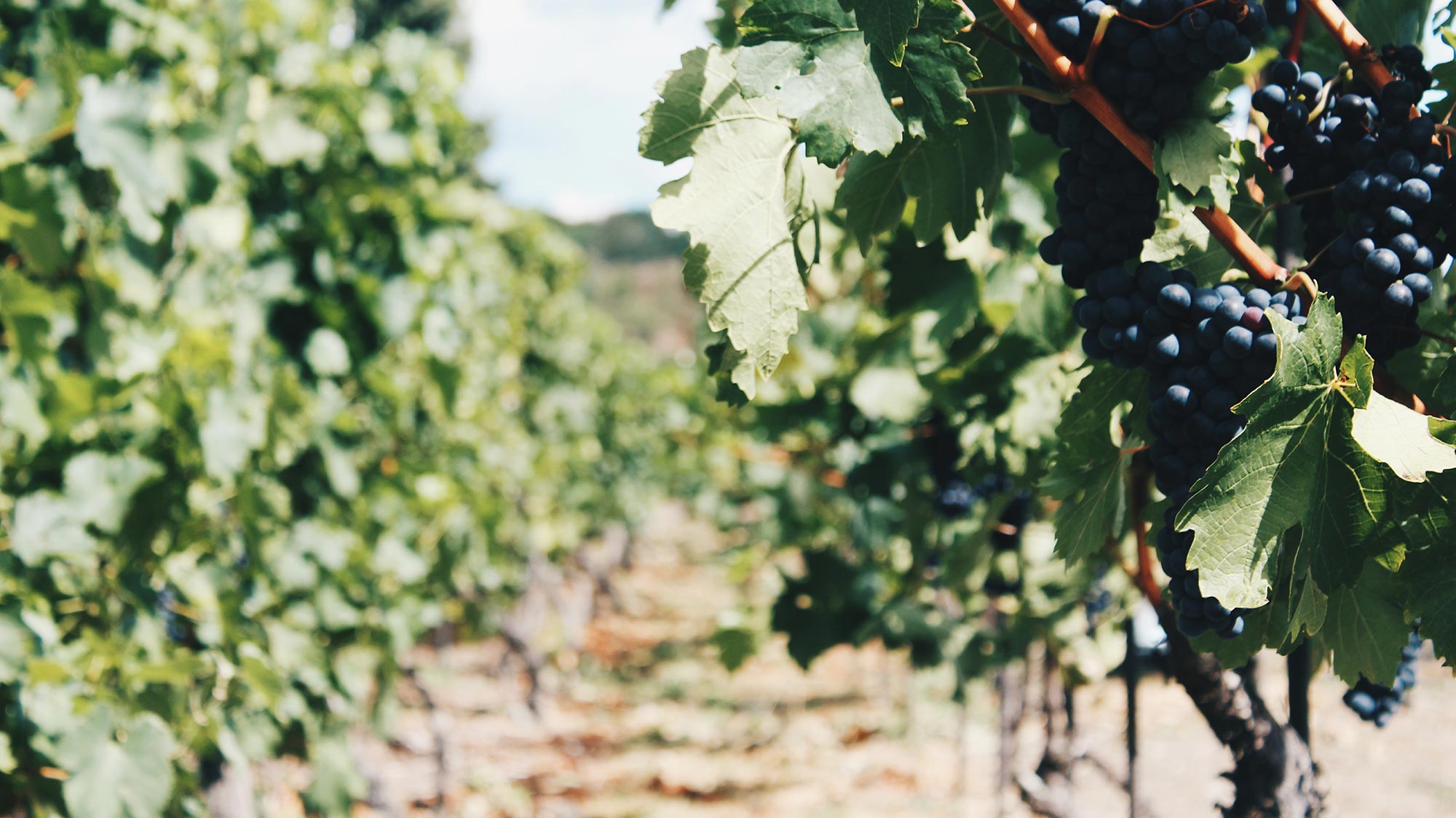 Lage & Aktiv in der Umgebung