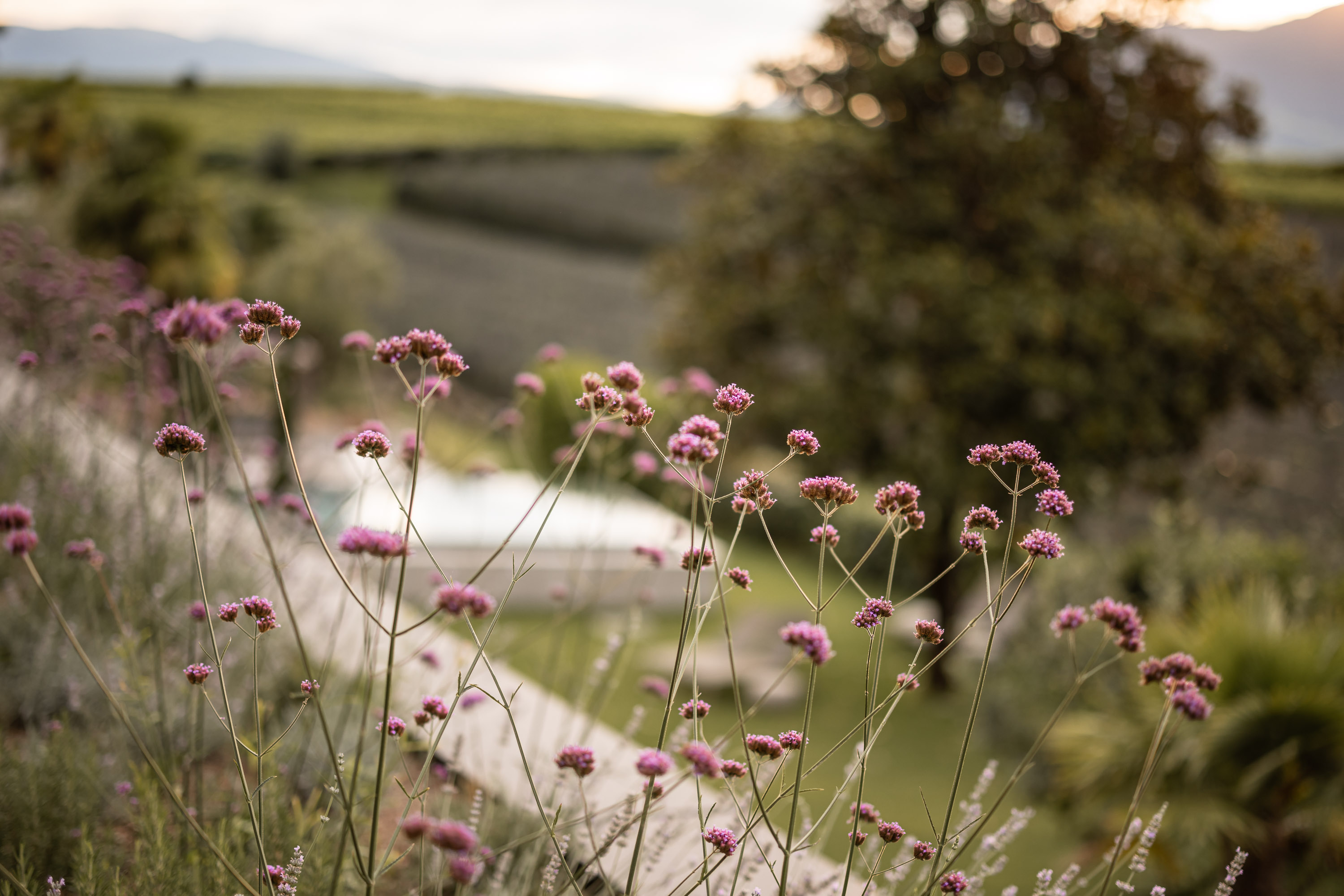 Das Wanda - Hotel und B&B