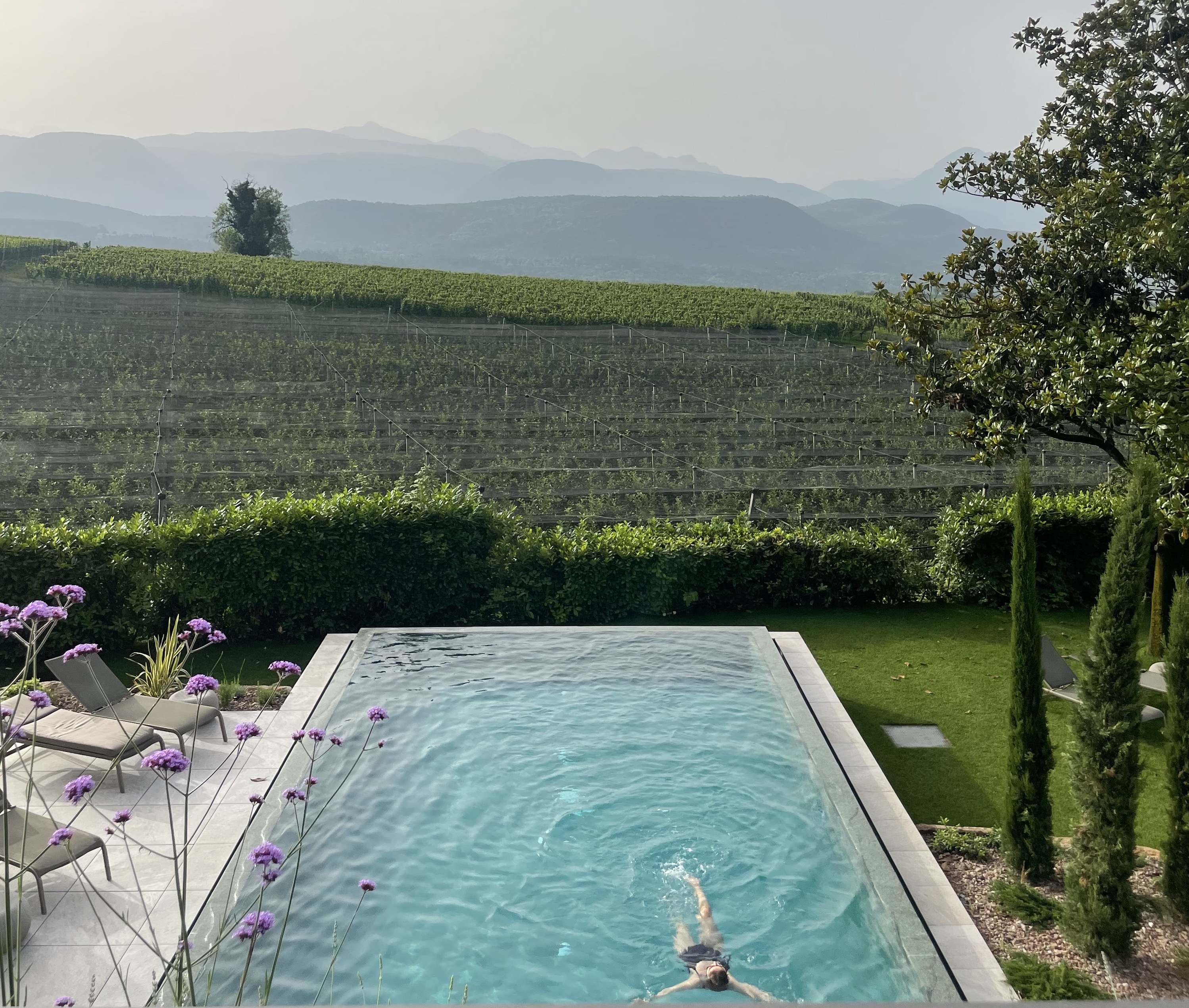Pool mit mediterranen Flair in Südtirol
